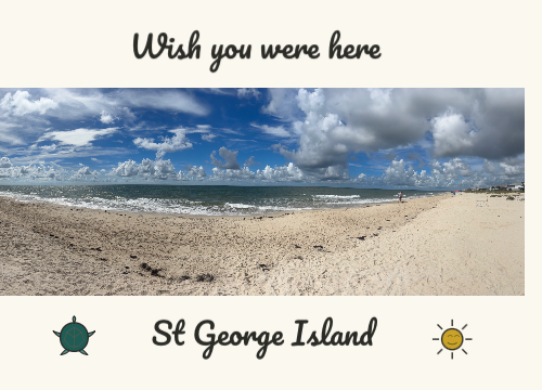 A postcard from the trip